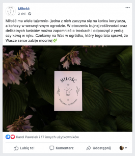 yos studio poznan