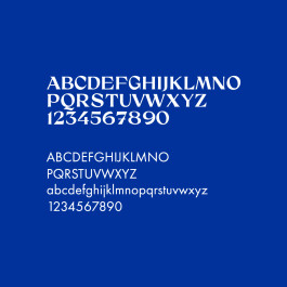 yos studio poznan