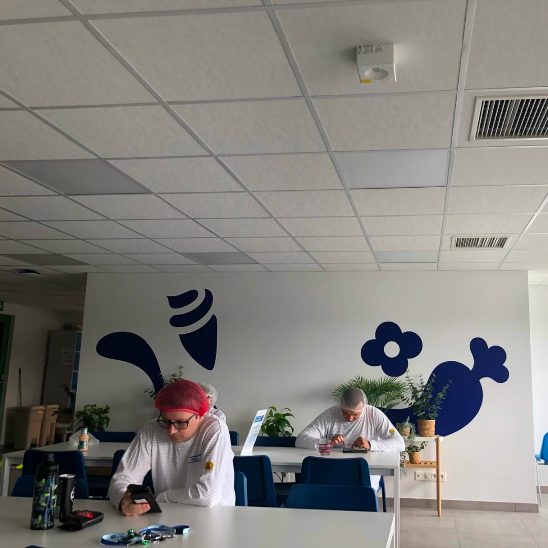 yos studio poznan