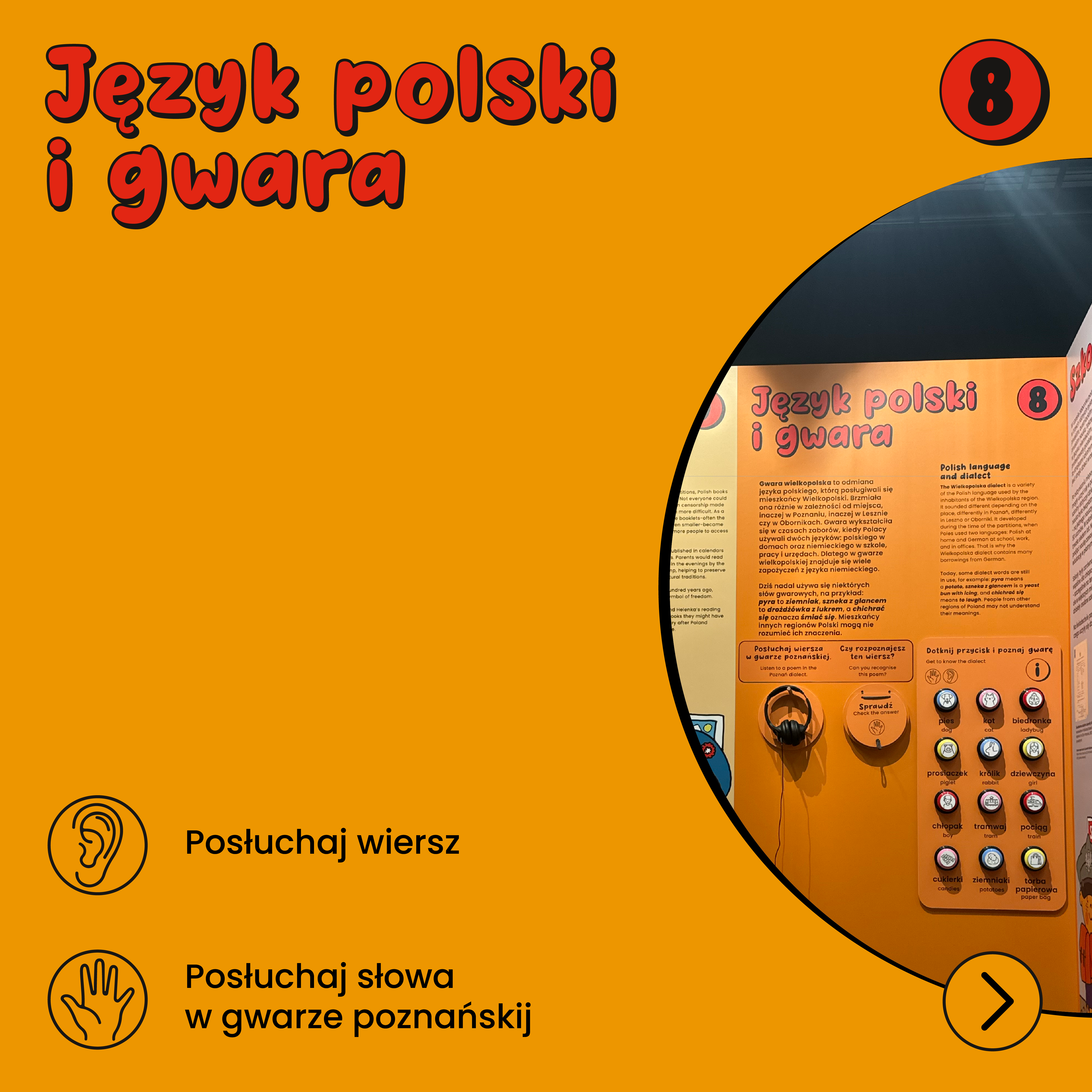 yos studio poznan
